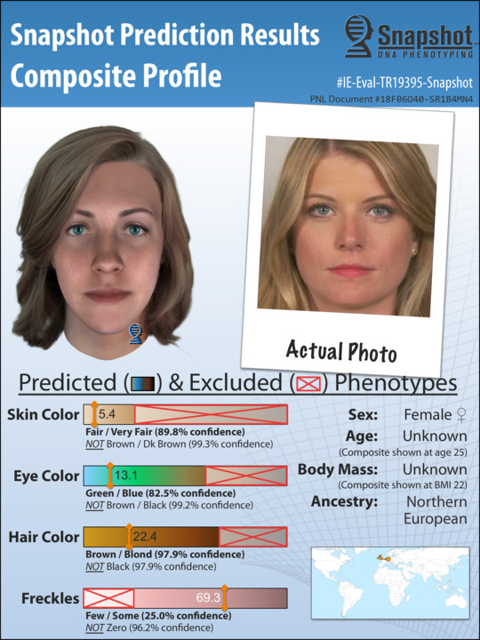 Example Snapshot Composite